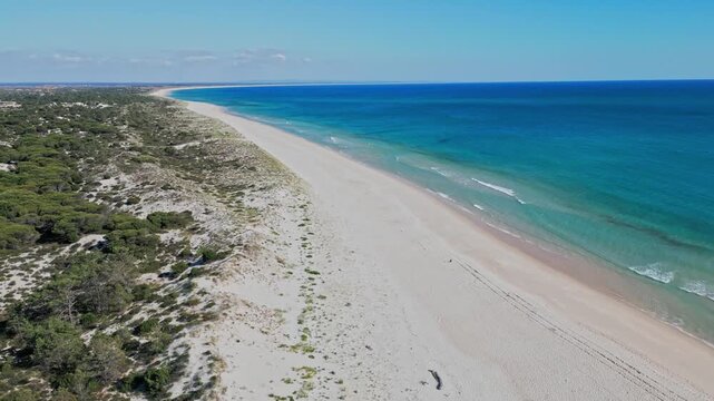 Aerial view glides over a wide sandy beach and turquoise ocean with forest nearby