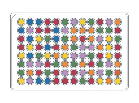 Diagnostic testing assay showcases a colorful multiple well analysis. Vibrant colors and clear composition make this image ideal for scientific or medical visuals.