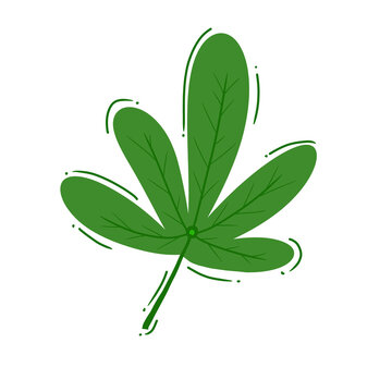Fresh vibrant grean leaf in nature