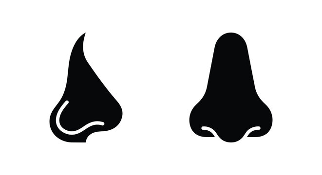 Two nose shapes in black silhouette against a white background silhouette noses nasal nostrils anatomy