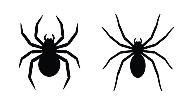Two Black Spiders Depicted As Silhouettes Against A White Background Silhouette spider arachnid arachnids insect
