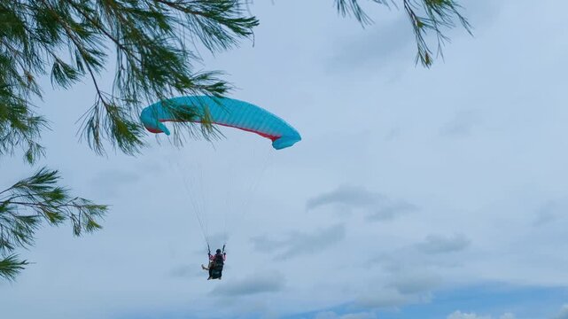 Paragliders fly over beach top. paragliding extreme sport experience. Adrenaline outdoor sport. Beautiful tranquil and calm time in nature above 