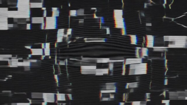 Digital VHS Glitch Distortion Overlay