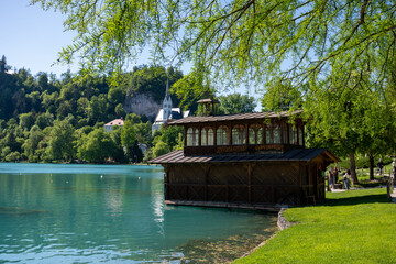 Fototapeta premium Bled | Slowenia | Europe