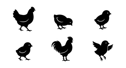 Chicken and Chick Silhouettes, Rooster Vector Icons, Farm Animal Graphics, Poultry Collection, Simple Black and White Icons © Saiful