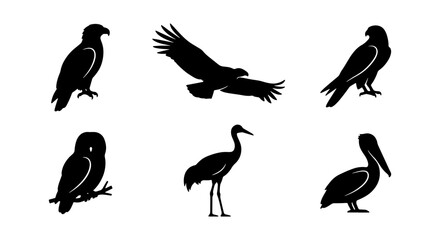 Fototapeta premium Bird Silhouettes Collection: Majestic Eagles, Owl, Crane, Pelican Icons for Wildlife and Nature Designs