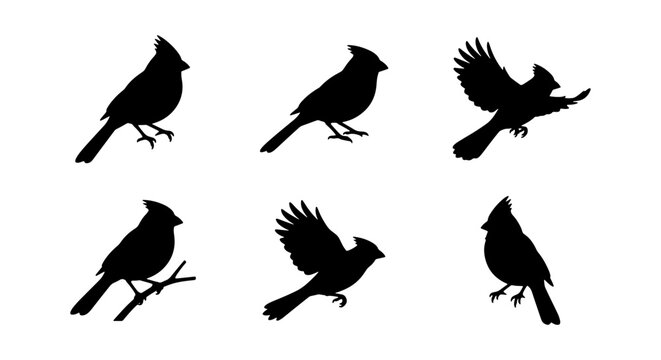 Cardinal Bird Silhouettes, Vector Icons Set: Perched, Flying, Winged Avian Graphics, Nature Wildlife Collection