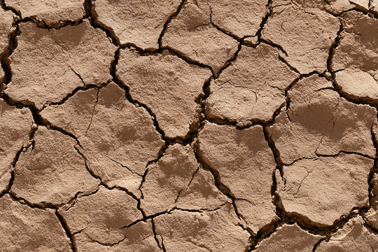 Top view of dry cracked earth background texture