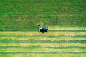 Aerial view captures powerful combine harvester gathers crops on a vast green field under a clear blue sky during a sunny day near © Evgenii Bakhchev