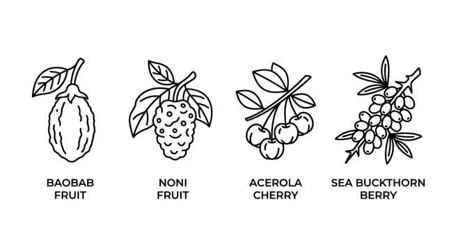 Labeled outline icons of baobab noni acerola sea buckthorn fruit.