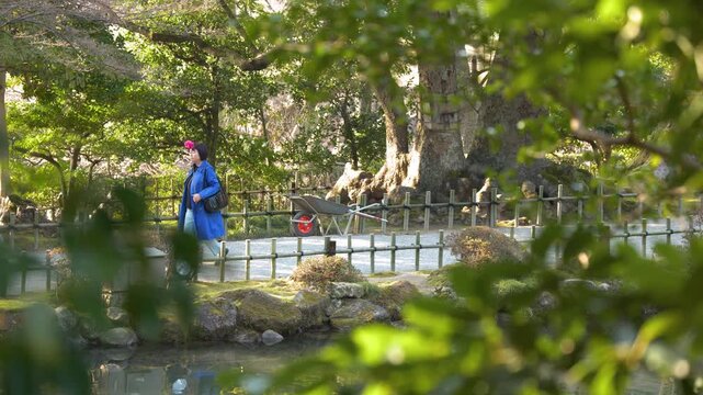 Japanese Woman in Blue Coat Walking Through Kenrokuen Garden in Kanazawa