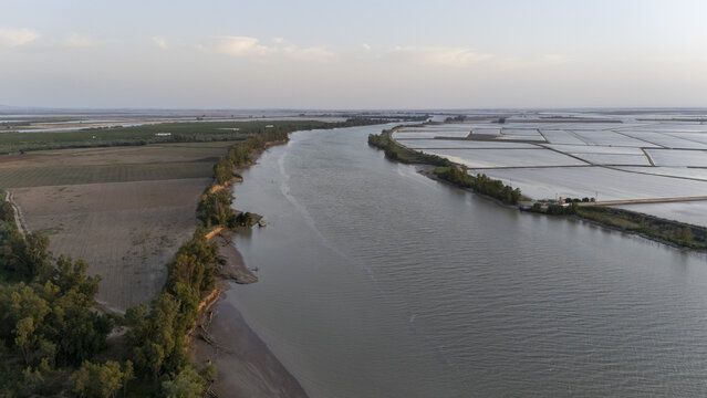 Aerial view of the Guadalquivir river winding through agricultural fields and flooded rice paddies under a soft sky Coria del Rio, Andalusia, Spain.