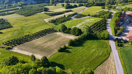 Naklejka premium Aerial View of Winding Road Through Green Vineyards and Fields in Piedmont