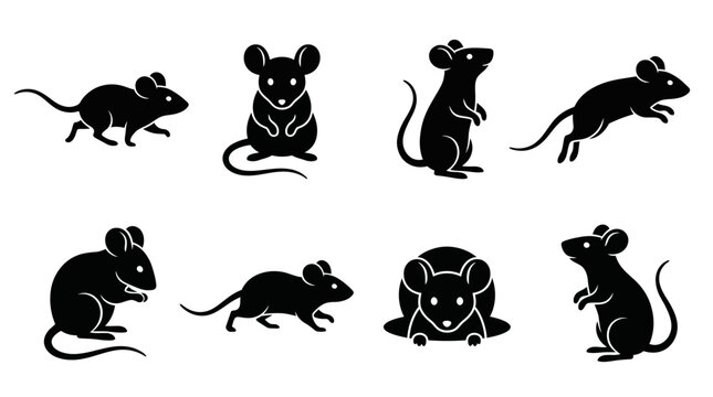 Collection of stylized black mouse silhouettes in diverse poses for artistic design, biological illustration, animation reference, and creative visual projects