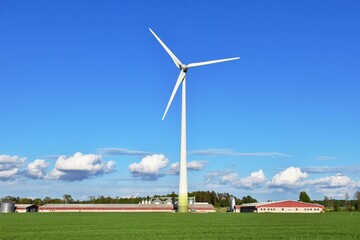 Fototapeta premium Wind turbine near a farm with metal silos for processing, drying and storing agricultural products, green field with wheat.
