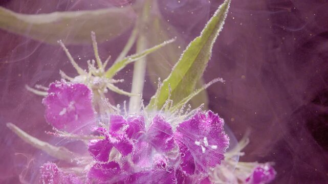 Highresolution image capturing shimmering pollen and ink particles. Magnified macro photography showing vibrant dust coated with glowing pollen and ink