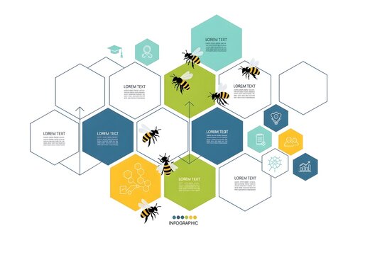 Honeycomb infographic with bees and icons vector illustration with colorful hexagons