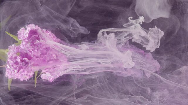 Lavender bouquet drifting through pale smoke, soft pastel petals ride translucent vapor with gentle currents, elegant studio composition evokes calm and perfume