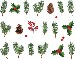 Christmas foliage vector collection isolated, pine branches holly leaves and winter botanical illustration design set © MdMotiur