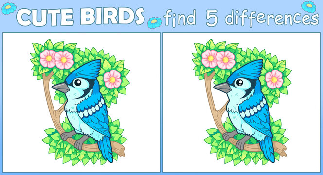 cute blue jay, find five differences illustration