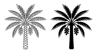 Naklejka premium Date Palm Tree Line Art and Silhouette Vector Collection with Ripe Dates