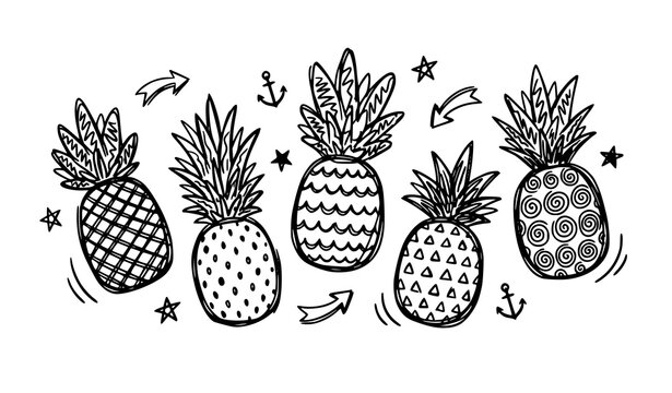 Pineapple Doodle Vector Set with Five Tropical Fruit Illustrations
