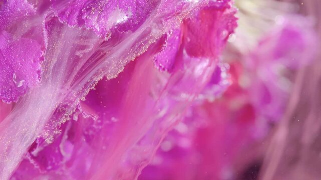 Magenta ruffled petals submerged in ink, translucent liquid currents wrap delicate folds, dramatic color contrast with soft sparkle, cinematic macro