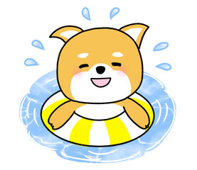 水上で黄色い浮き輪に乗ってはしゃぐしばいぬ © neriko