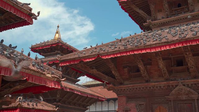Static shot of a large flock of pigeons resting on and flying away from the intricate tiered roofs of historic Newari temples at Kathmandu Durbar Square under a blue sky in Nepal.