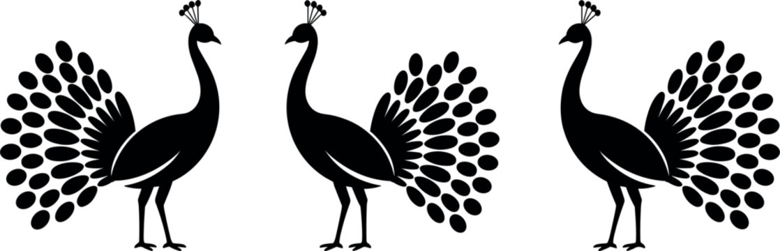 Peacock silhouette collection, elegant bird vector illustrations for wildlife, decorative and nature-themed design projects