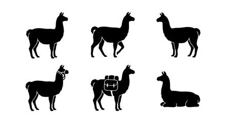 Llama Icons Set: Silhouette Vector Graphics of Alpacas, South American Camelids, and Pack Animals for Design © Reshma
