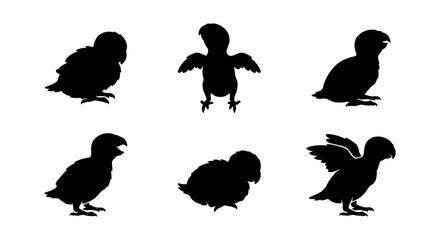 Charming Baby Bird Silhouettes Set, Adorable Fledgling Poses, Cute Avian Vector Icons for Nature and Wildlife Designs © Reshma