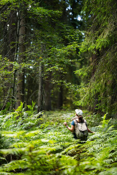 Hiker with backpack walking on footpath in lush forest