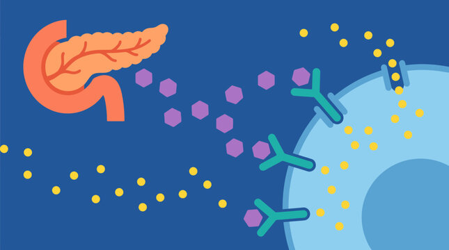 Illustration of Antibody Binding to Cell Receptor.