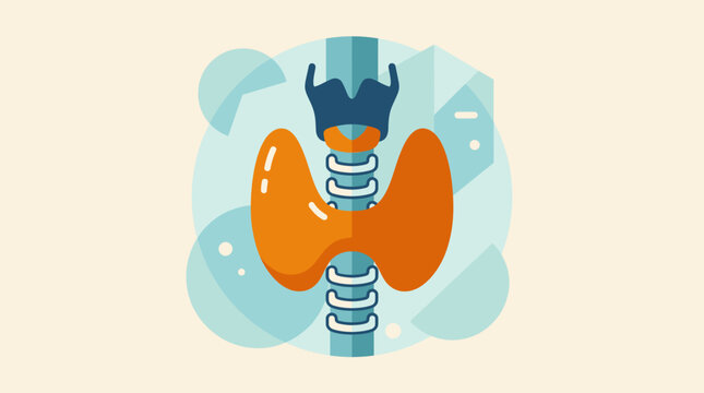 Stylized human thyroid gland and trachea illustration.