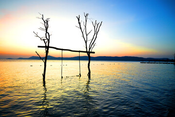 Obraz premium Swing on sea beach on sunset. Swing hangs on tree branch at tropical resort of Starfish Beach on Phu Quoc Island in Vietnam. Beach swing at ocean. Vacation at sea with love on tropical paradise beach.