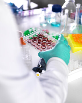 Scientist analyzing multi well plate in laboratory