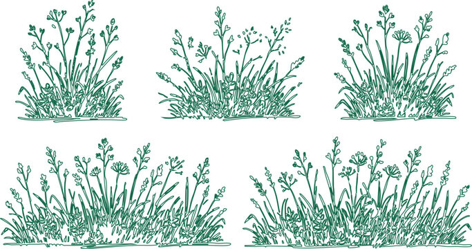 Vector illustration of six green grass and weed clumps in various styles and growth patterns on a white background for design and graphic use.