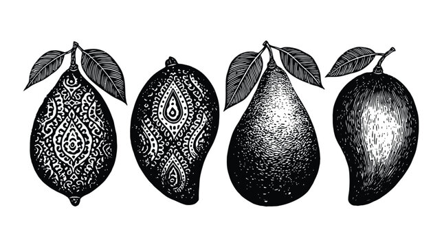 Mango illustration set with different designs and patterns on white background