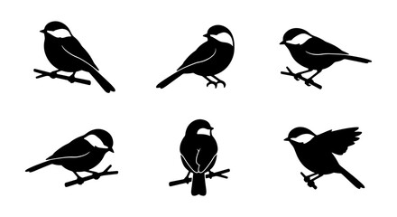 Charming Black and White Bird Silhouettes, Six Vector Poses on Branches, Simple Ornithology Graphics for Nature Designs © Delwar