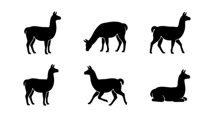 Llama Silhouette Collection: Six Vector Icons of South American Camelids in Various Poses, Minimalist Animal Graphics © Delwar