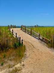 Obraz premium Beach Trail