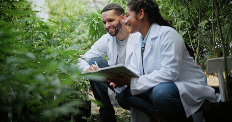Obraz premium Biologist, farm and discussion with tablet for marijuana, production and checklist for inspection. People, tech and science team with cannabis for growth, study or harvest for medical research