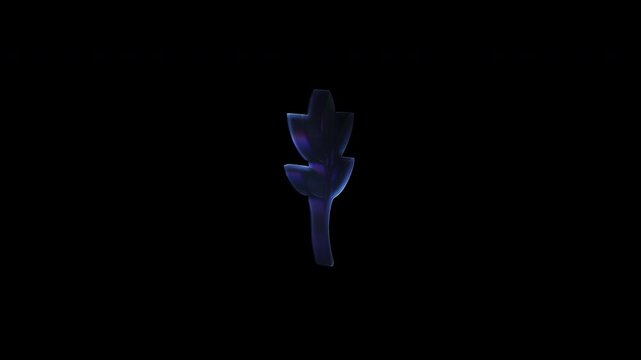 Growing stylized plant with leaves animation