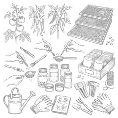 Obraz premium Gardening tools and supplies collection.