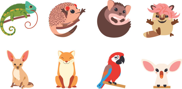 Cute exotic wild animals character set with chameleon hedgehog parrot fox fennec macaque bat vector illustrations