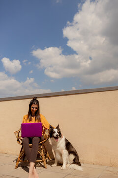 Freelancer working remotely on a laptop outdoors with a border collie