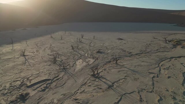 Timelapse: Skyline Reveals Desolate Terrain. Sunrise Illuminates Earth And Skeletal Trees In Silence