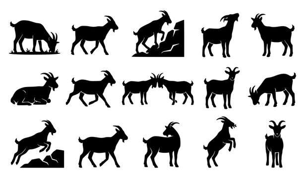 Farm Goat Silhouette Set with Diverse Animal Poses and Natural Behaviors Vector Collection
