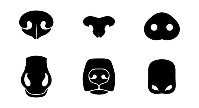 Animal Noses Icons Set, Mammal Snout Silhouettes Collection, Diverse Creature Faces Vector Graphics